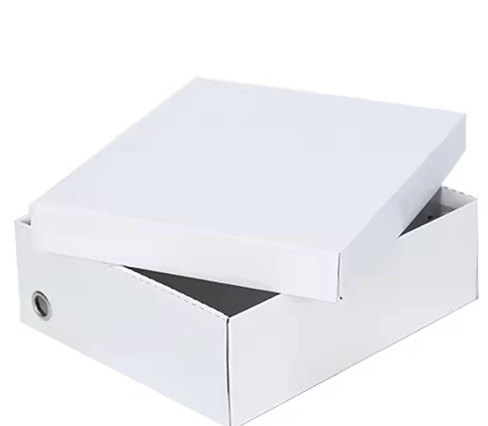 Self Erecting Shoes Paper Boxes